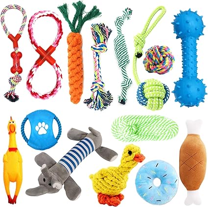 Interactive Toys Set of 15 Pieces